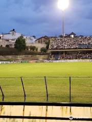 Estádio Municipal Walter Ribeiro