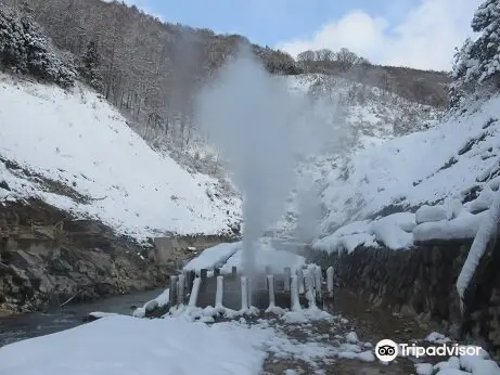 渋の地獄谷噴泉