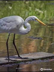 Morro Coast Audubon Society Sweet Springs Nature Preserve