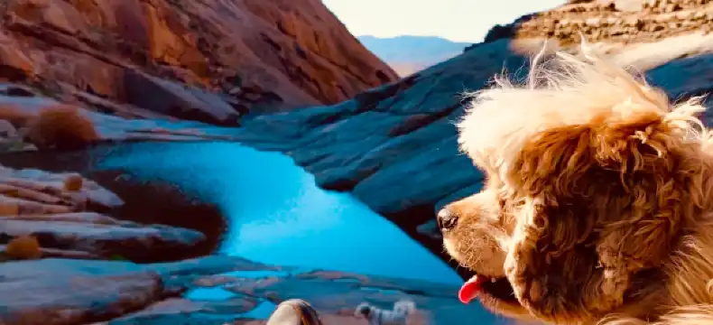 マクソラタのホテル