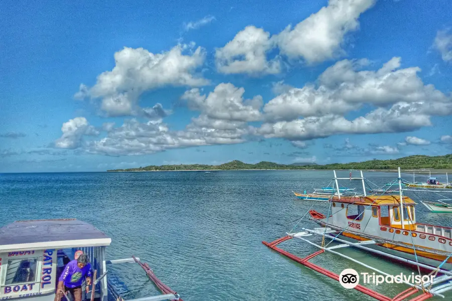 Looc Bay Marine Refuge and Sanctuary