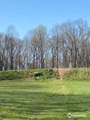 Pinson Mounds State Park