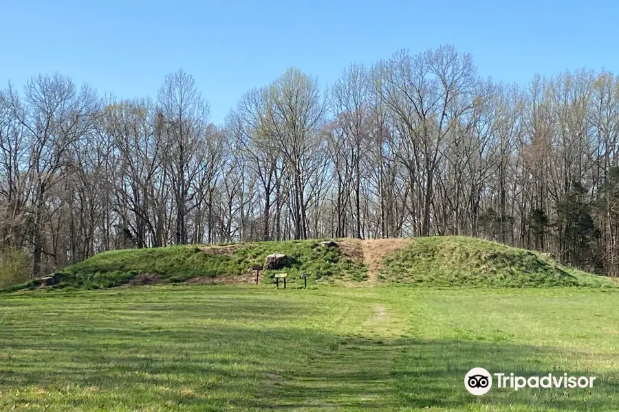 Pinson Mounds State Archaeological Park