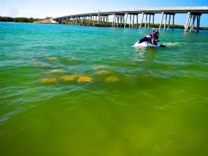 Bonita Jetski & Parasail