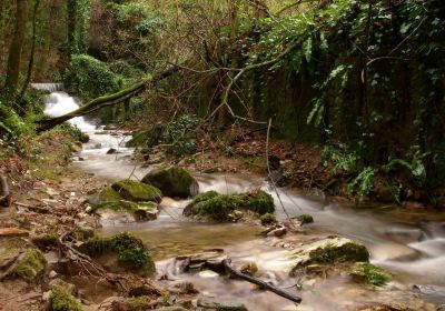 Parco Forestale di Poggio Neri