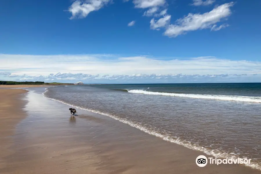 Belhaven Bay Beach