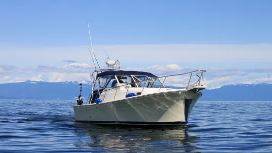 Haida Gold Ocean Adventures