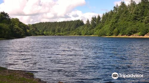 Tottiford Reservoir