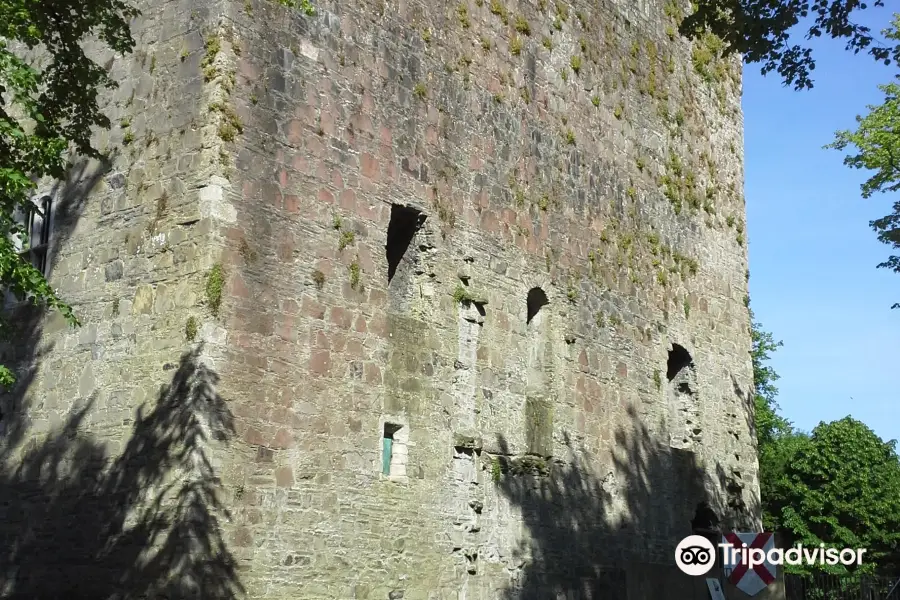 Maynooth Castle