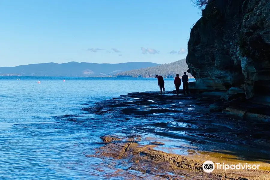 Tinderbox Marine Reserve