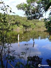 Laguna Charco Verde