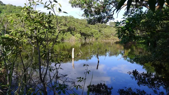 Laguna Charco Verde