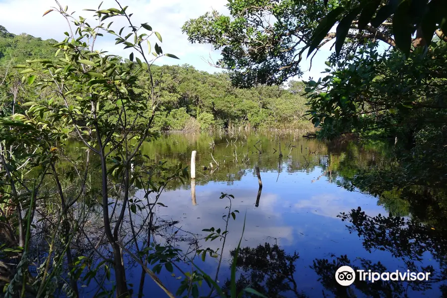 Laguna Charco Verde