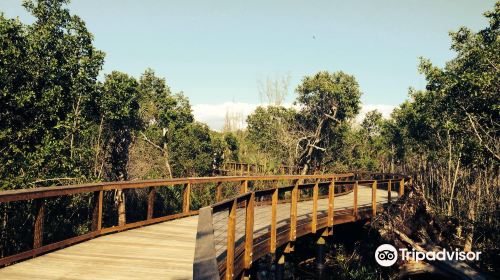 Gordon Riv Greenway