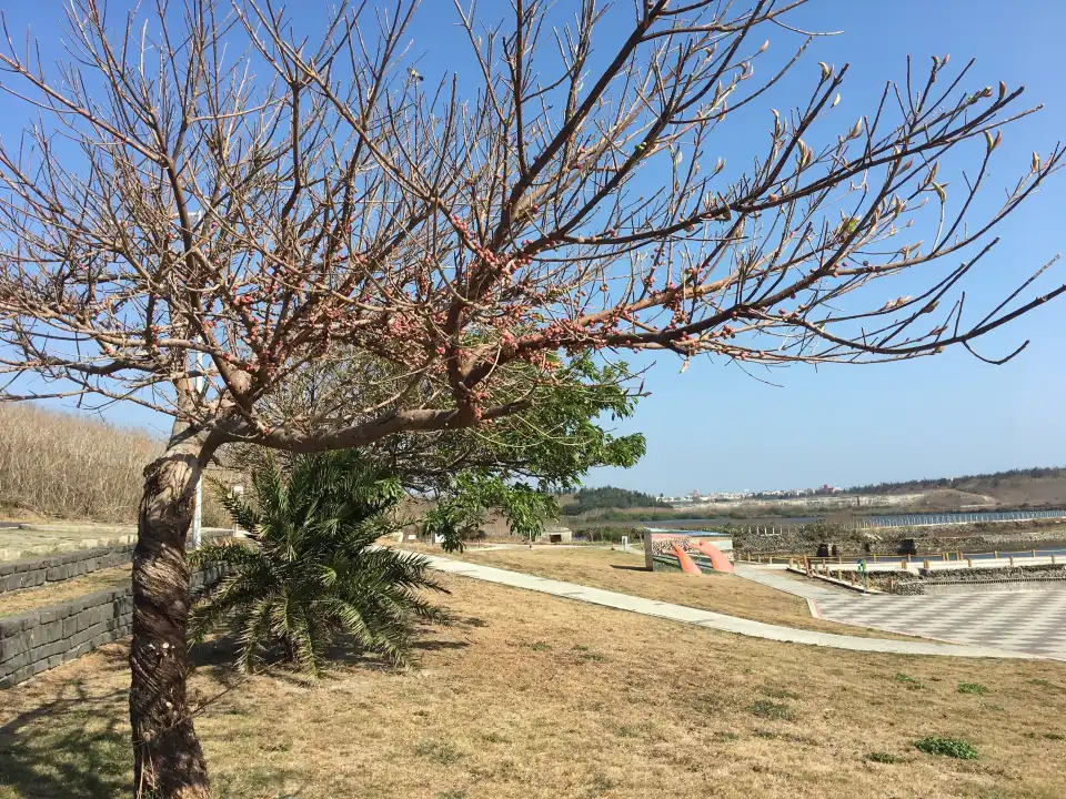 1_Caiyuan Wetlands