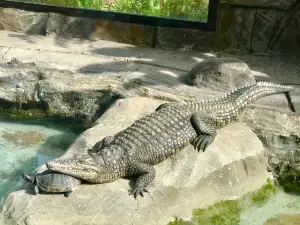 Maroparque isla de La Palma