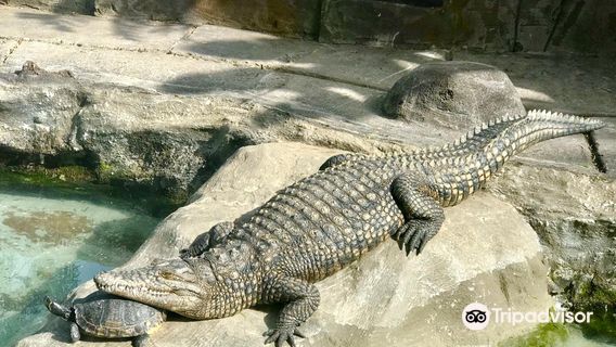 Maroparque isla de La Palma