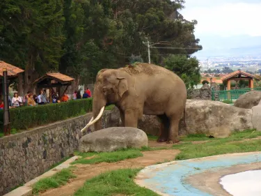 Zoologico Zacango