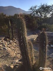 Parque Rupestre Monte Aranda