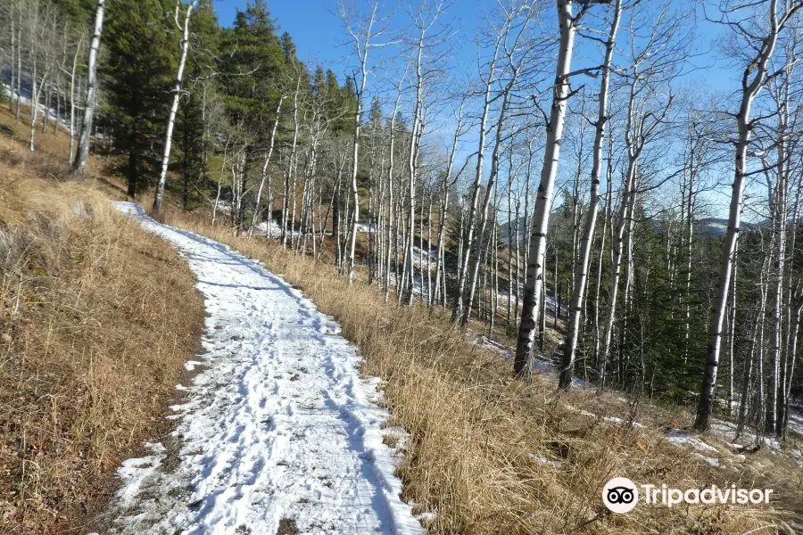 Fullerton Loop Hiking Trail