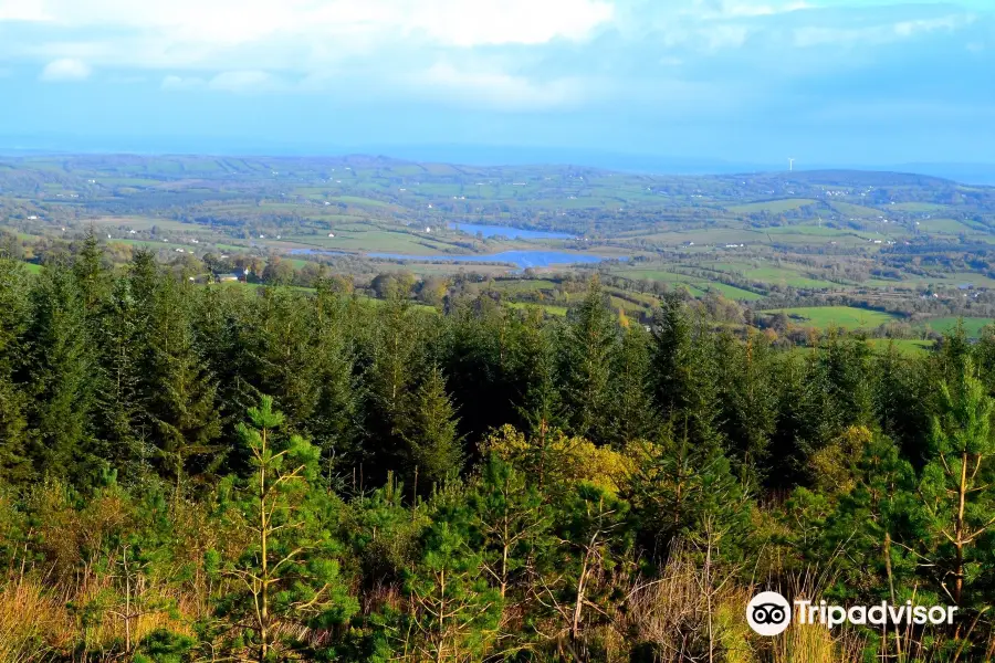 Belmore Forest - Pollnagollum Cave Walk