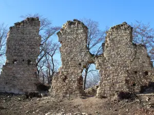 Pravda Castle