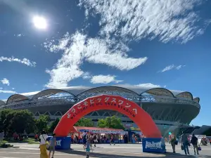 Estadio del Gran Cisne de Niigata