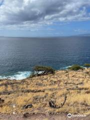 Papawai Scenic Lookout