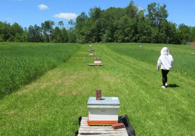 Miellerie Charlo Honey House