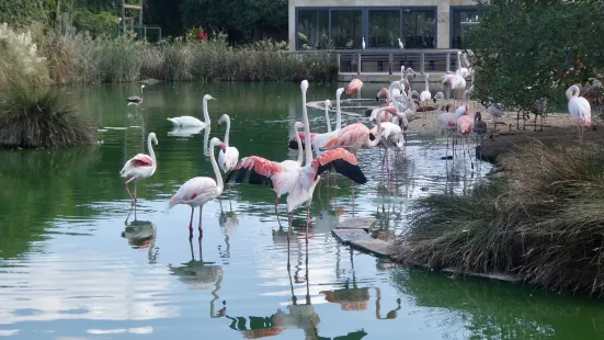 Bird Park Malta