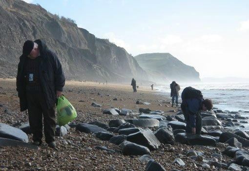 Fossilwalks