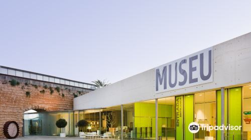 Es Baluard現代藝術博物館
