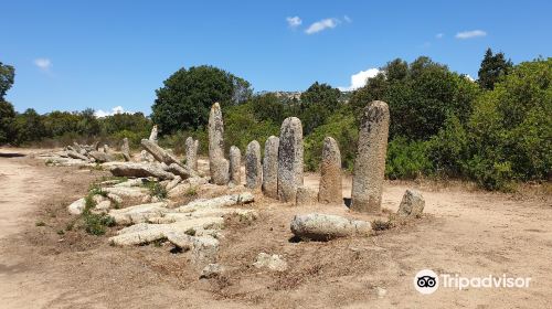 Menhirs Paddaghhu