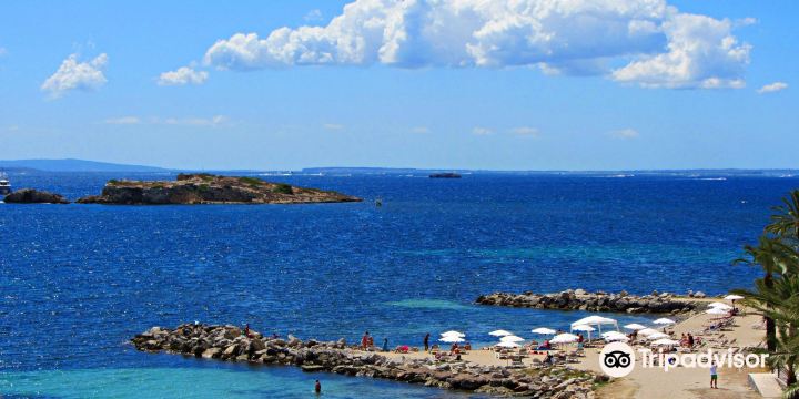 Platja de ses Figueretes