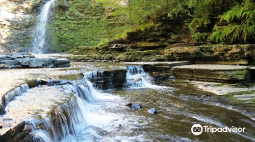 Eagle Cliff Falls