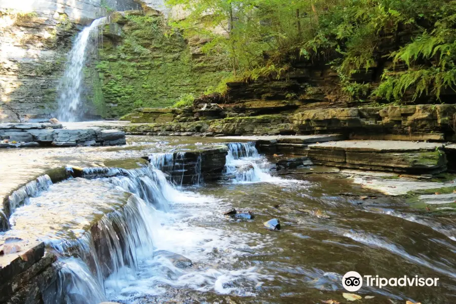 Eagle Cliff Falls