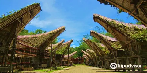 Kete Kesu Village