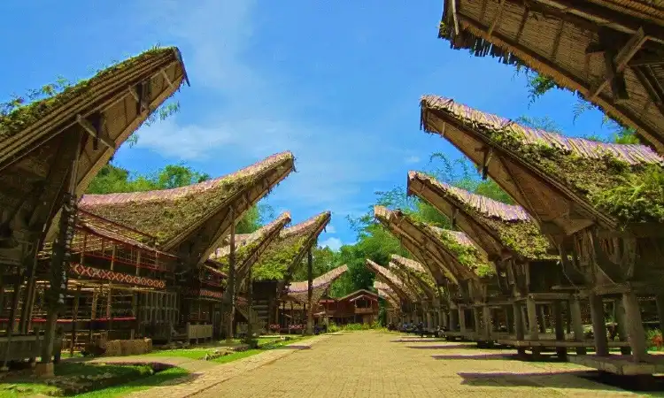 Kesu