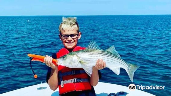 Got Stryper Charters