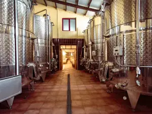 Dimopoulos Estate
