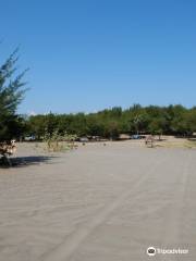 Parangkusumo Sand Dunes