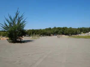 Parangkusumo Sand Dunes