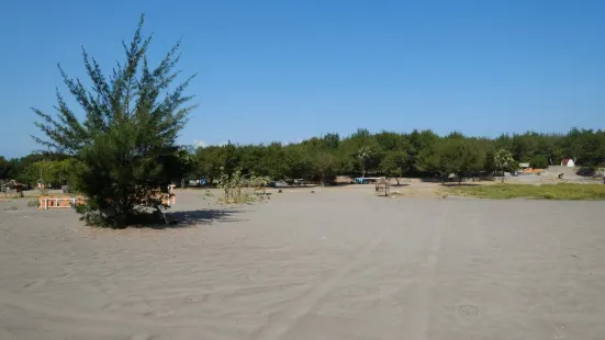 Parangkusumo Sand Dunes