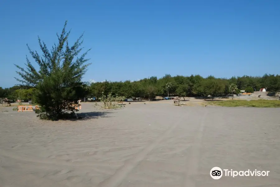 Parangkusumo Sand Dunes