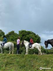 Boskill Equestrian Centre v94 yv83