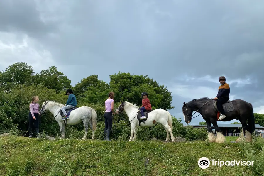 Boskill Equestrian Centre v94 yv83