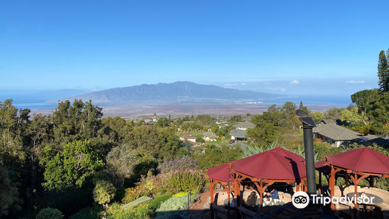 Polynesian Adventure