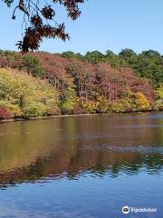 Flax Pond Conservation Area