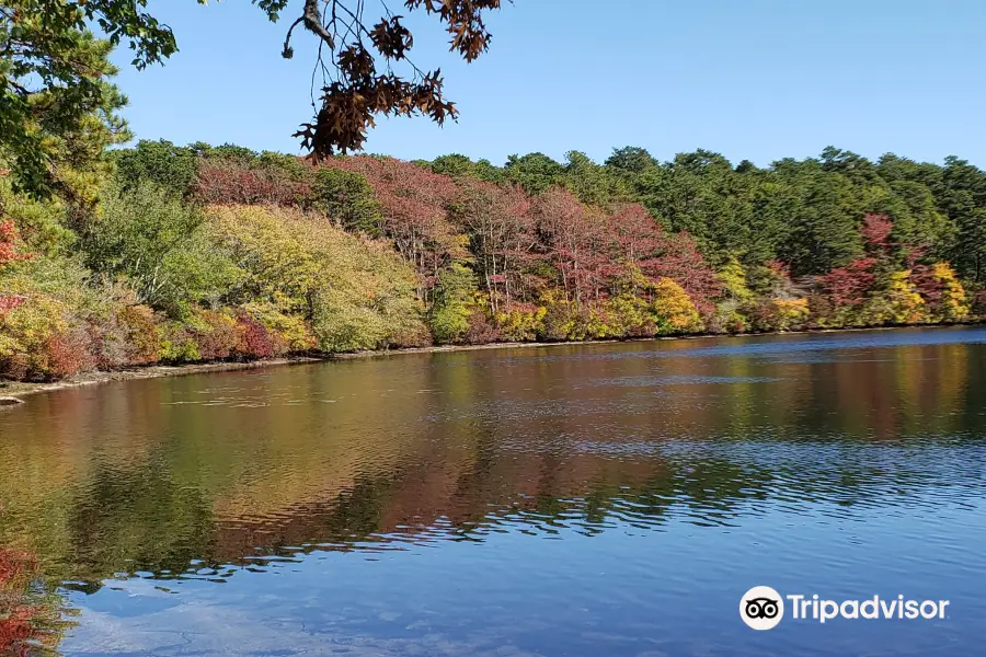 Flax Pond Conservation Area