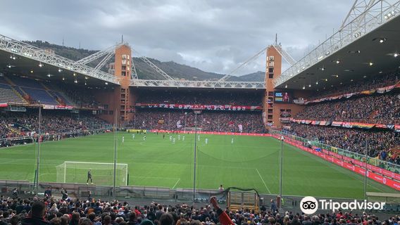 Luigi Ferraris Stadium